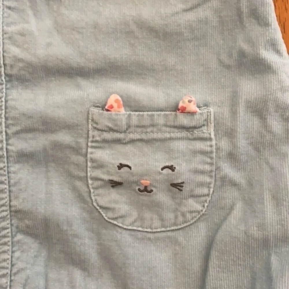 Carter’s Light blue and flower jumper outfit 009
